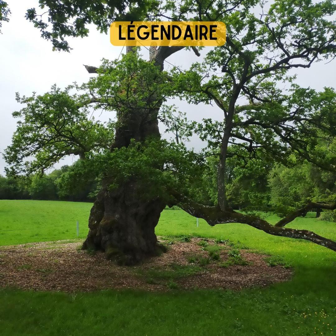 Camping Le Val Aux Fees - Broceliande Concoret Экстерьер фото